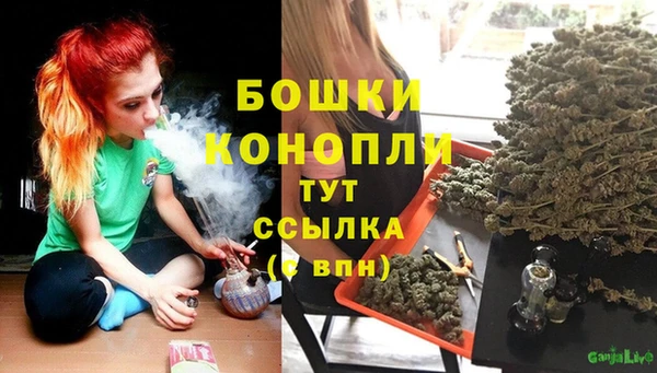 ECSTASY Медногорск